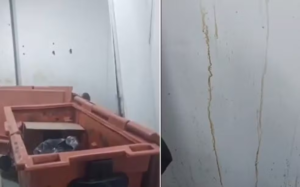 Vídeo gravado por moradora mostra ratos, barata e sujeira dentro de UPA em Cabo Frio: ‘aqui tá sujo de sangue’