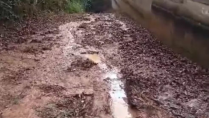 Moradores denunciam condições de estradas de terra em distritos de Petrópolis